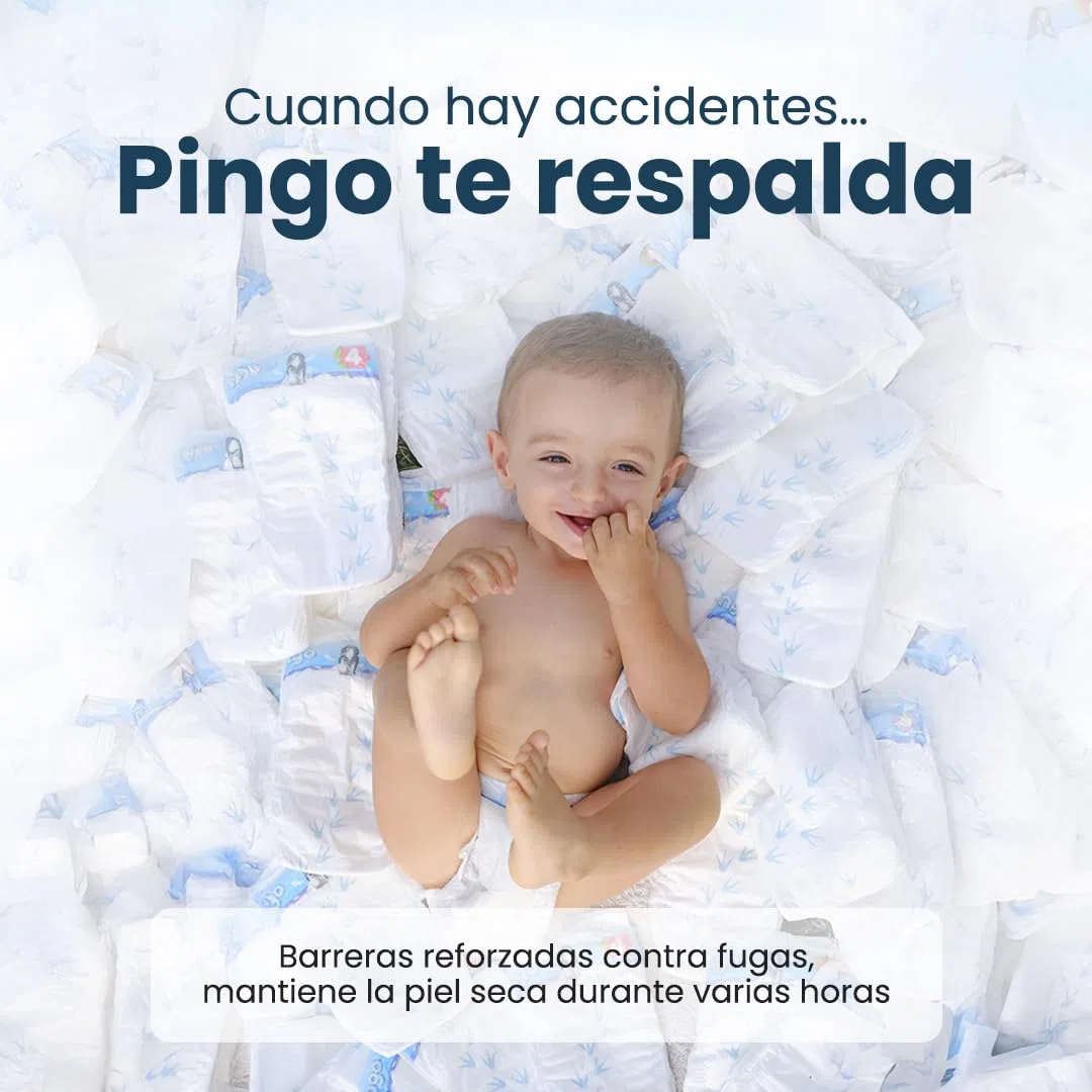 Pingo Pañales Couches - Culotte écologiques taille 6 26 unités