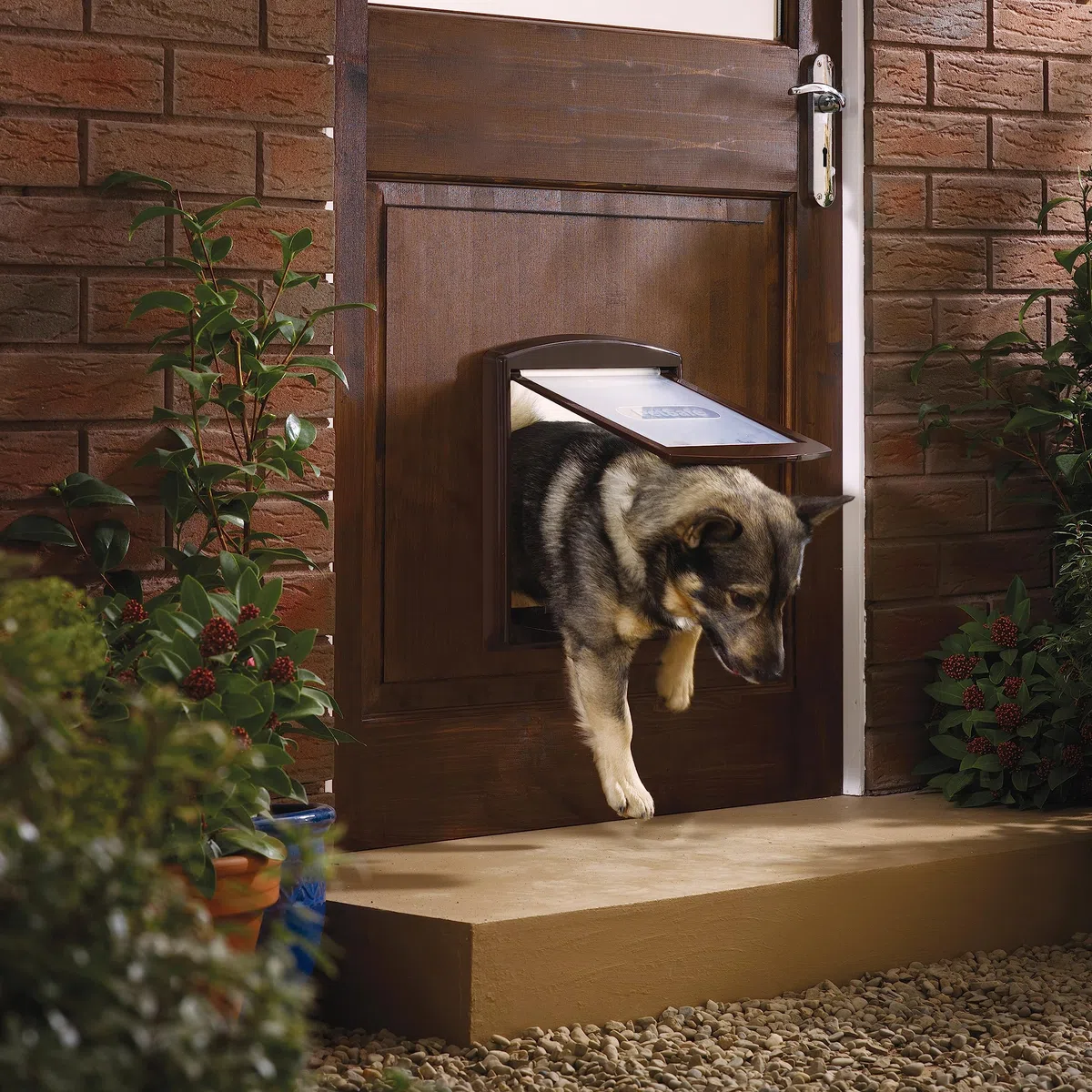 PetSafe - Extension de tunnel (S) pour Chatière, Compatible avec Porte pour Animaux d'Origine Staywell à 2 positions (série 700) - Petit, Brun