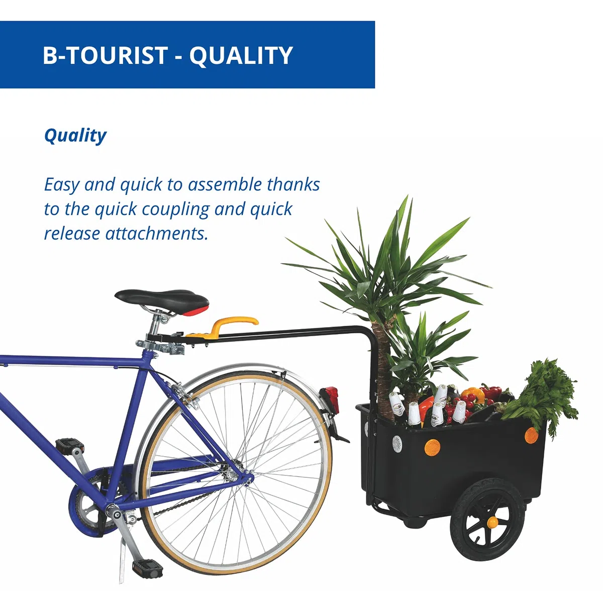 b bellelli Eco Trailer Remorque pour vélos Chariot Manuel