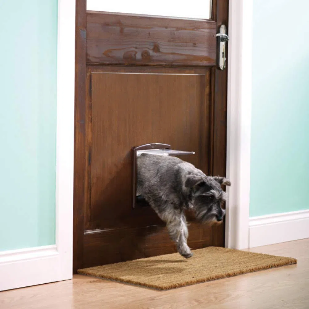 PetSafe - Extension de tunnel (S) pour Chatière, Compatible avec Porte pour Animaux d'Origine Staywell à 2 positions (série 700) - Petit, Brun